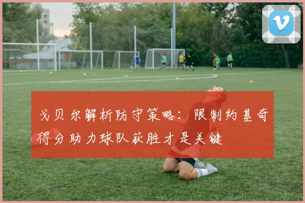 戈贝尔解析防守策略：限制约基奇得分助力球队获胜才是关键