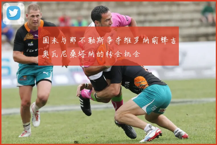 国米与那不勒斯争夺维罗纳前锋吉奥瓦尼桑塔纳的转会机会