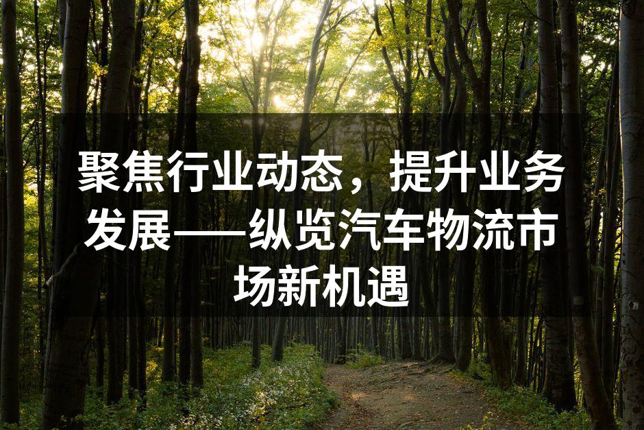 汽车物流运输车队
